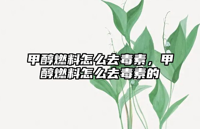 甲醇燃料怎么去毒素，甲醇燃料怎么去毒素的