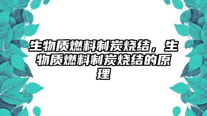 生物質燃料制炭燒結，生物質燃料制炭燒結的原理