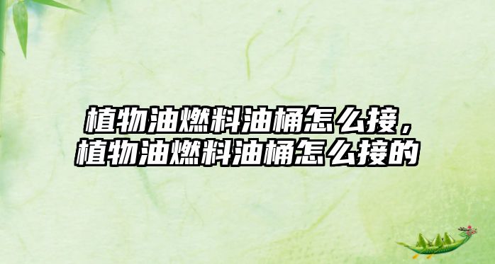 植物油燃料油桶怎么接，植物油燃料油桶怎么接的