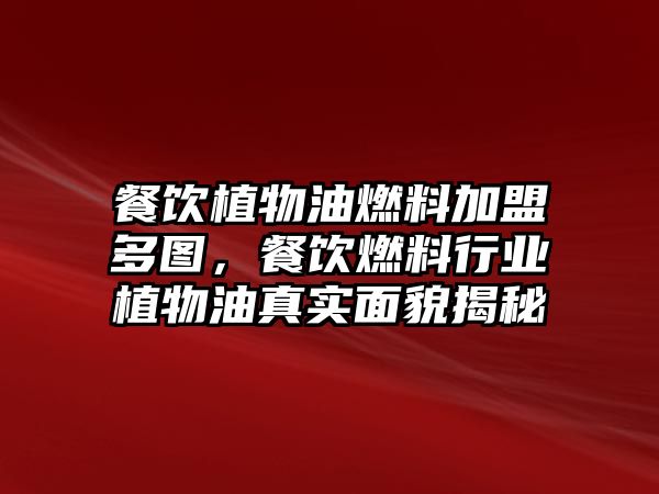餐飲植物油燃料加盟多圖，餐飲燃料行業(yè)植物油真實面貌揭秘