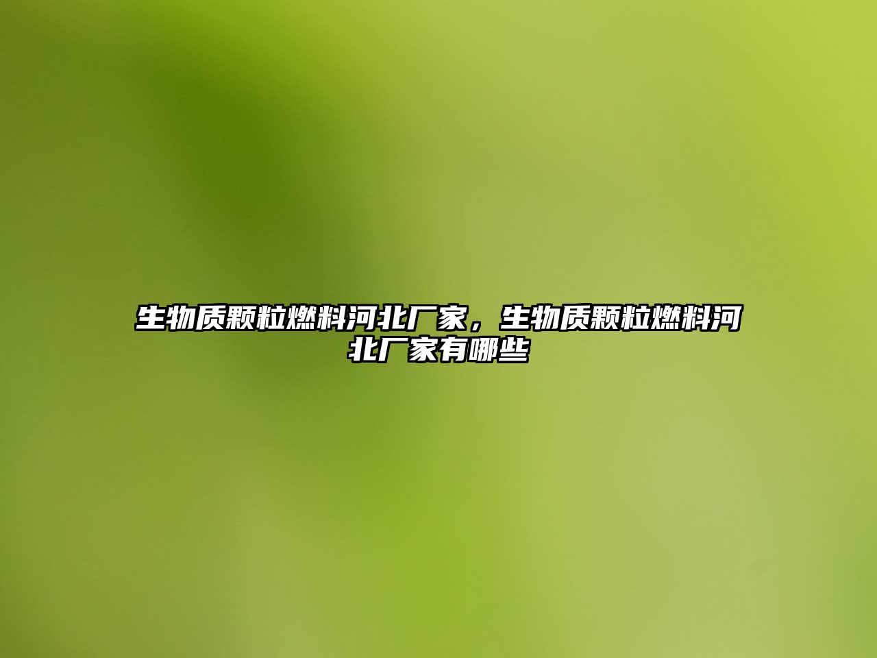 生物質(zhì)顆粒燃料河北廠家，生物質(zhì)顆粒燃料河北廠家有哪些