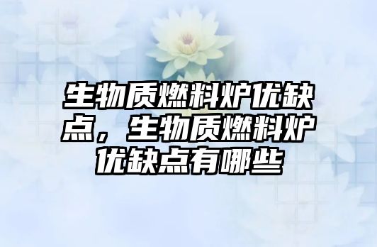生物質(zhì)燃料爐優(yōu)缺點，生物質(zhì)燃料爐優(yōu)缺點有哪些