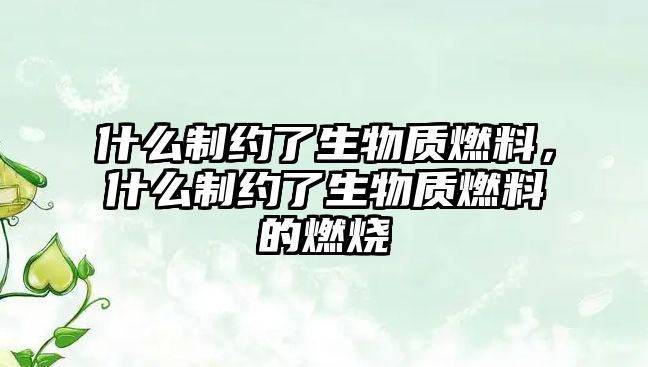 什么制約了生物質(zhì)燃料，什么制約了生物質(zhì)燃料的燃燒