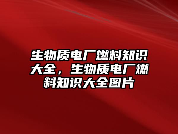 生物質(zhì)電廠燃料知識(shí)大全，生物質(zhì)電廠燃料知識(shí)大全圖片