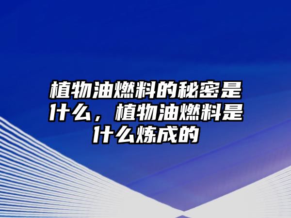 植物油燃料的秘密是什么，植物油燃料是什么煉成的