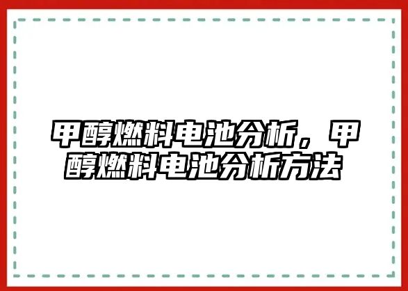 甲醇燃料電池分析，甲醇燃料電池分析方法