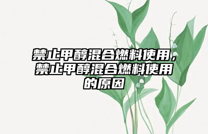 禁止甲醇混合燃料使用，禁止甲醇混合燃料使用的原因