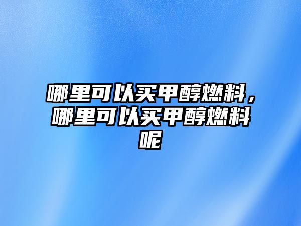 哪里可以買甲醇燃料，哪里可以買甲醇燃料呢