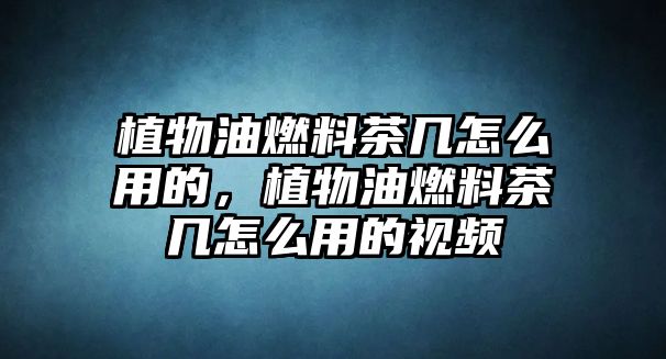 植物油燃料茶幾怎么用的，植物油燃料茶幾怎么用的視頻