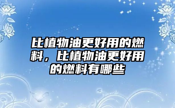 比植物油更好用的燃料，比植物油更好用的燃料有哪些