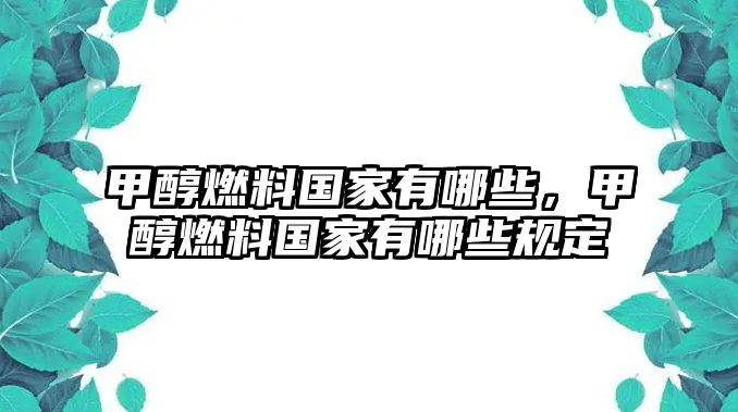 甲醇燃料國家有哪些，甲醇燃料國家有哪些規(guī)定