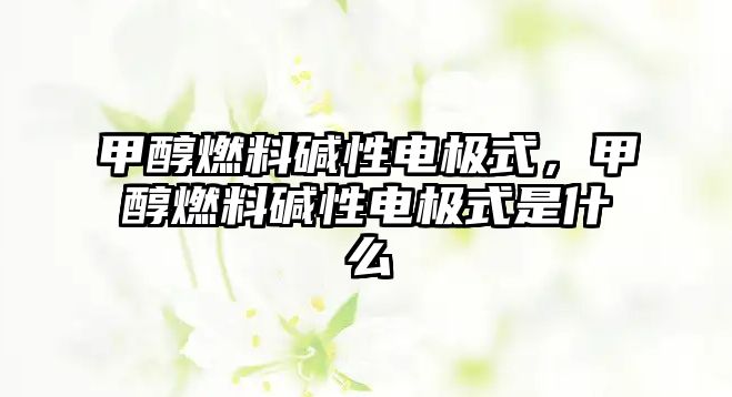 甲醇燃料堿性電極式，甲醇燃料堿性電極式是什么