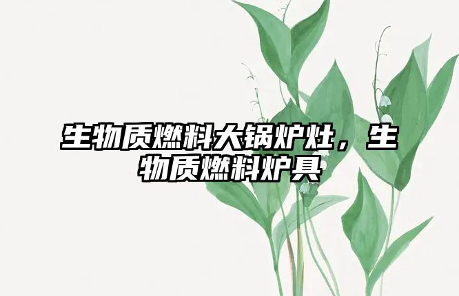 生物質(zhì)燃料大鍋爐灶，生物質(zhì)燃料爐具