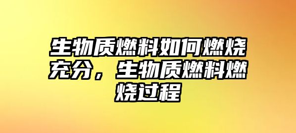 生物質(zhì)燃料如何燃燒充分，生物質(zhì)燃料燃燒過程