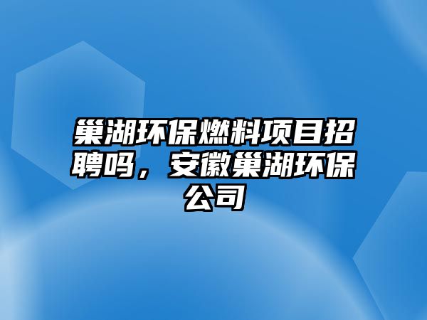 巢湖環(huán)保燃料項目招聘嗎，安徽巢湖環(huán)保公司