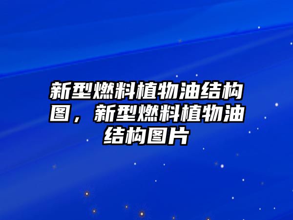 新型燃料植物油結(jié)構(gòu)圖，新型燃料植物油結(jié)構(gòu)圖片