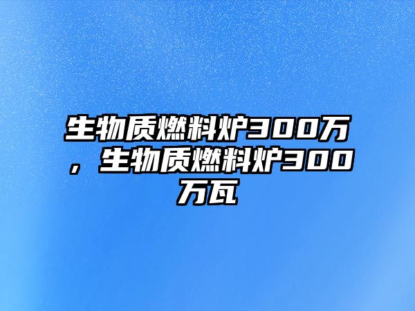 生物質燃料爐300萬，生物質燃料爐300萬瓦