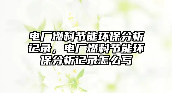 電廠燃料節(jié)能環(huán)保分析記錄，電廠燃料節(jié)能環(huán)保分析記錄怎么寫