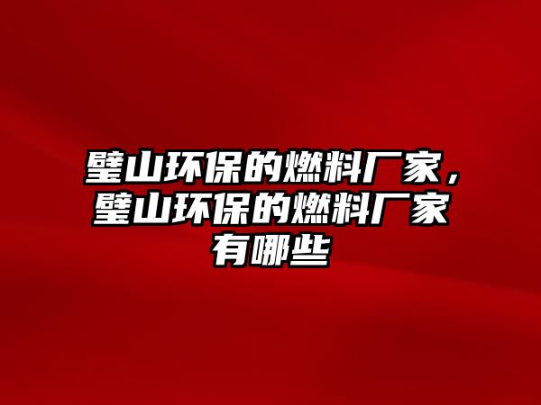 璧山環(huán)保的燃料廠家，璧山環(huán)保的燃料廠家有哪些