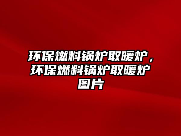 環(huán)保燃料鍋爐取暖爐，環(huán)保燃料鍋爐取暖爐圖片