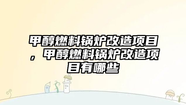 甲醇燃料鍋爐改造項目，甲醇燃料鍋爐改造項目有哪些