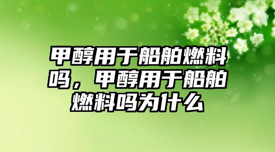 甲醇用于船舶燃料嗎，甲醇用于船舶燃料嗎為什么