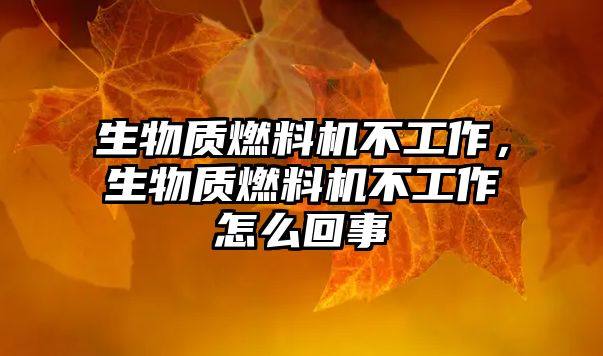 生物質(zhì)燃料機不工作，生物質(zhì)燃料機不工作怎么回事