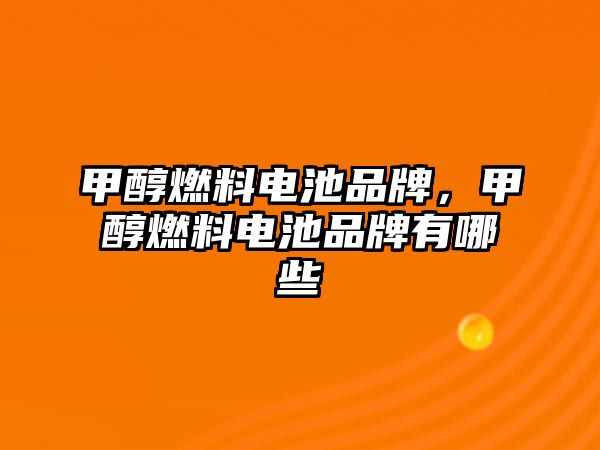 甲醇燃料電池品牌，甲醇燃料電池品牌有哪些