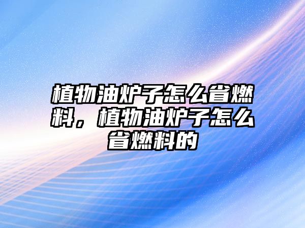 植物油爐子怎么省燃料，植物油爐子怎么省燃料的