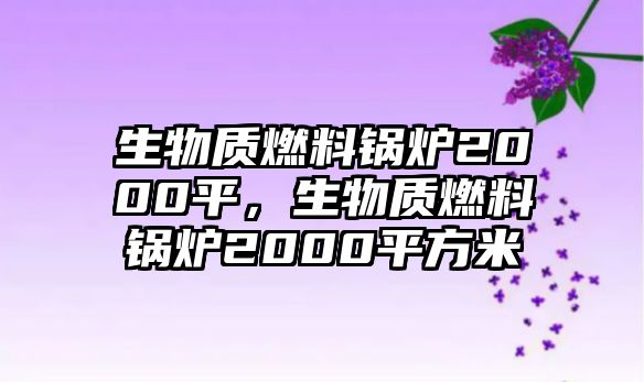 生物質燃料鍋爐2000平，生物質燃料鍋爐2000平方米