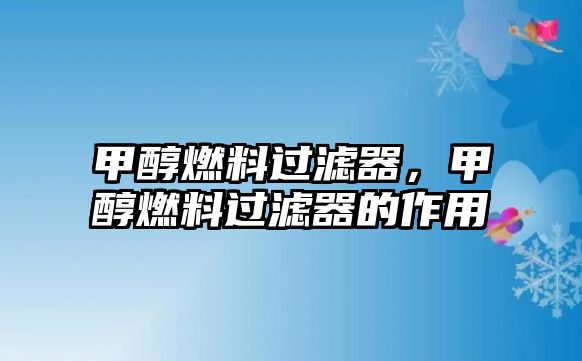 甲醇燃料過濾器，甲醇燃料過濾器的作用