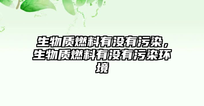 生物質(zhì)燃料有沒(méi)有污染，生物質(zhì)燃料有沒(méi)有污染環(huán)境