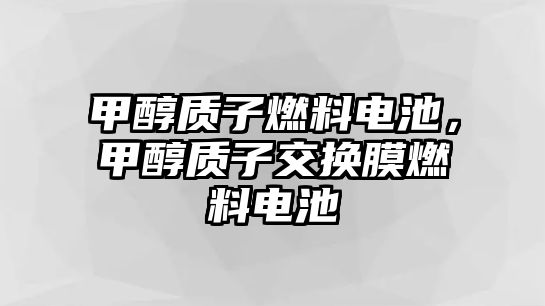 甲醇質子燃料電池，甲醇質子交換膜燃料電池