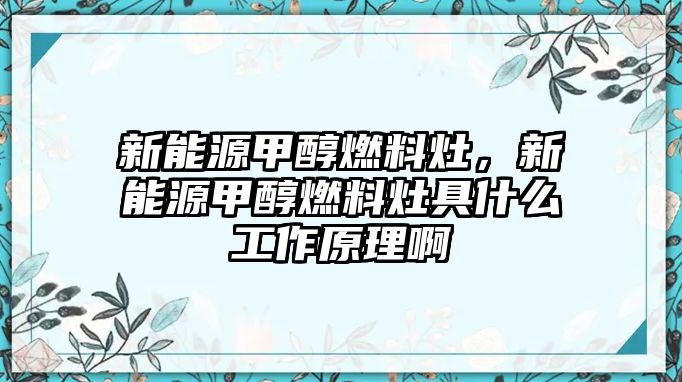 新能源甲醇燃料灶，新能源甲醇燃料灶具什么工作原理啊