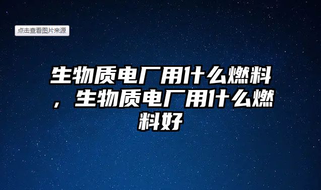 生物質(zhì)電廠用什么燃料，生物質(zhì)電廠用什么燃料好