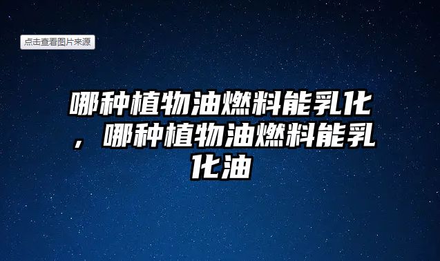 哪種植物油燃料能乳化，哪種植物油燃料能乳化油