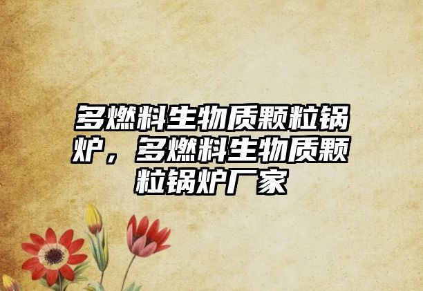 多燃料生物質顆粒鍋爐，多燃料生物質顆粒鍋爐廠家