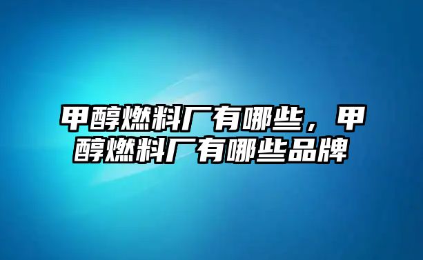 甲醇燃料廠有哪些，甲醇燃料廠有哪些品牌