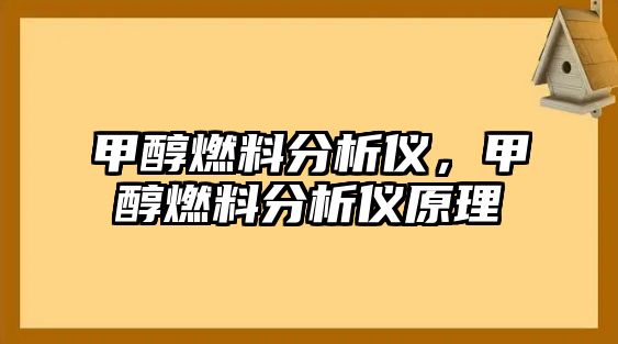 甲醇燃料分析儀，甲醇燃料分析儀原理