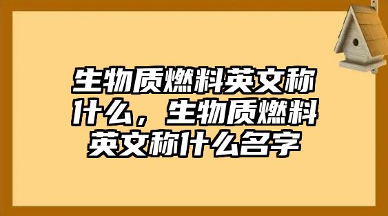 生物質(zhì)燃料英文稱(chēng)什么，生物質(zhì)燃料英文稱(chēng)什么名字