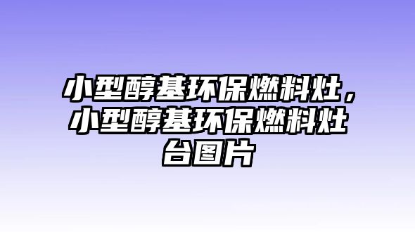 小型醇基環(huán)保燃料灶，小型醇基環(huán)保燃料灶臺圖片