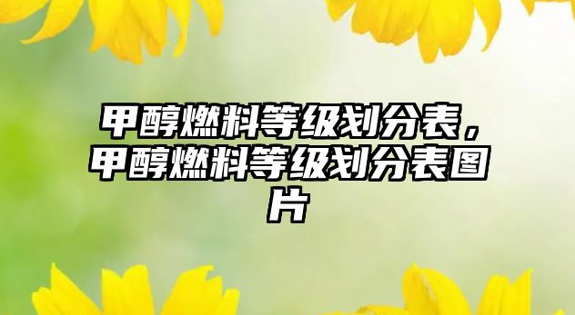 甲醇燃料等級(jí)劃分表，甲醇燃料等級(jí)劃分表圖片