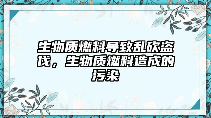 生物質燃料導致亂砍盜伐，生物質燃料造成的污染