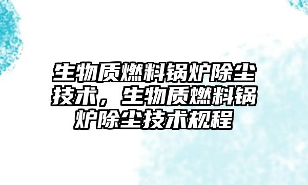 生物質(zhì)燃料鍋爐除塵技術(shù)，生物質(zhì)燃料鍋爐除塵技術(shù)規(guī)程