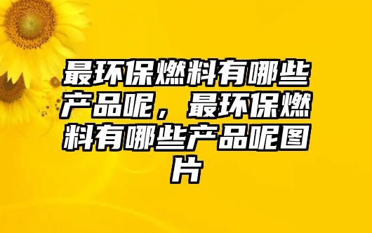 最環(huán)保燃料有哪些產(chǎn)品呢，最環(huán)保燃料有哪些產(chǎn)品呢圖片