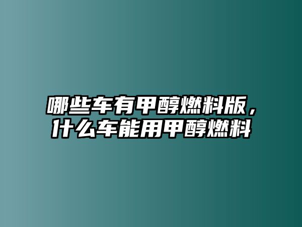 哪些車有甲醇燃料版，什么車能用甲醇燃料