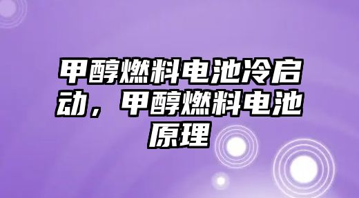 甲醇燃料電池冷啟動(dòng)，甲醇燃料電池原理