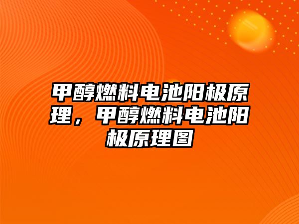 甲醇燃料電池陽極原理，甲醇燃料電池陽極原理圖