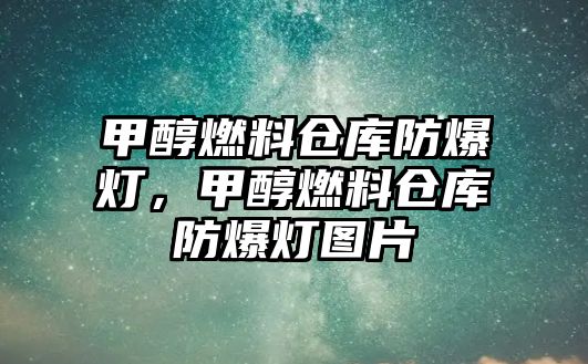 甲醇燃料倉庫防爆燈，甲醇燃料倉庫防爆燈圖片