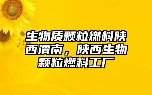 生物質(zhì)顆粒燃料陜西渭南，陜西生物顆粒燃料工廠